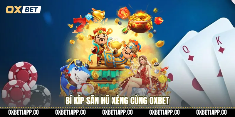 Bí kíp săn hũ xèng cùng OXBET