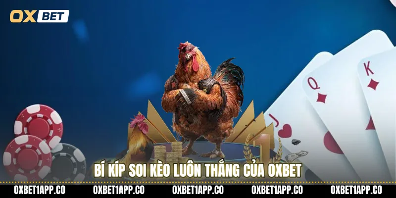 Bí kíp soi kèo luôn thắng của OXBET