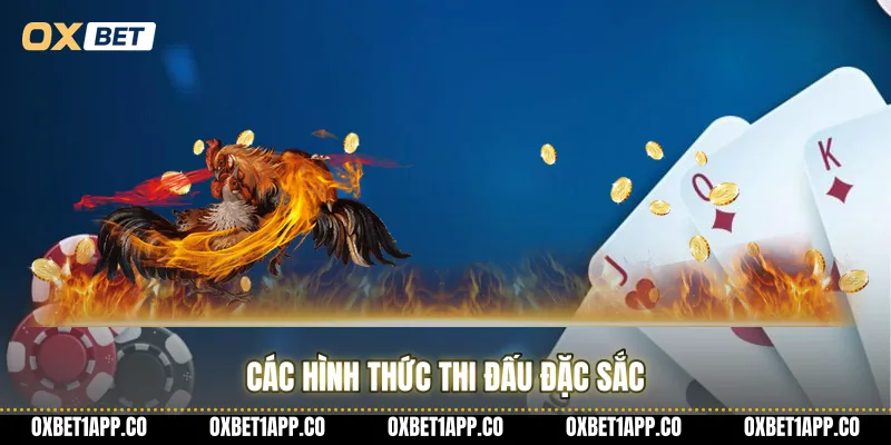 Các hình thức thi đấu đặc sắc