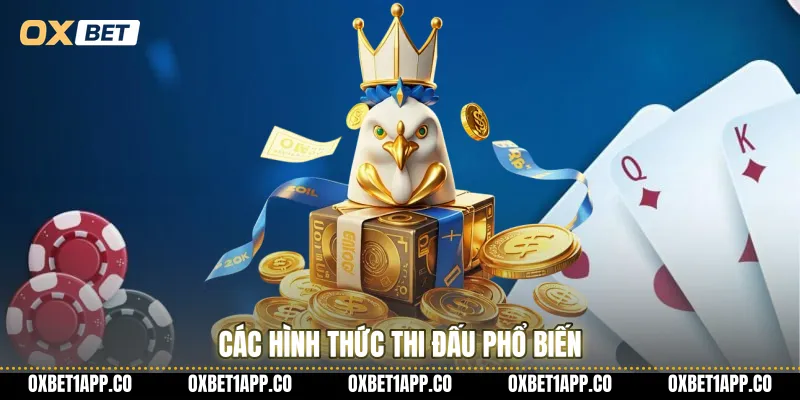 Các hình thức thi đấu phổ biến