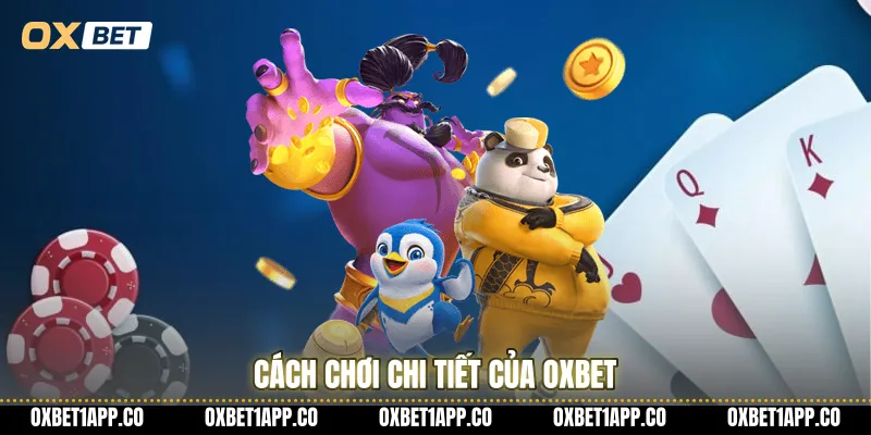 Cách chơi chi tiết của OXBET