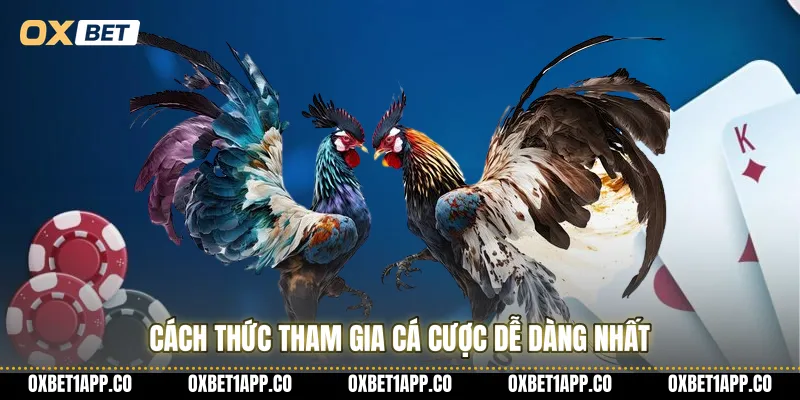 Cách thức tham gia cá cược dễ dàng nhất
