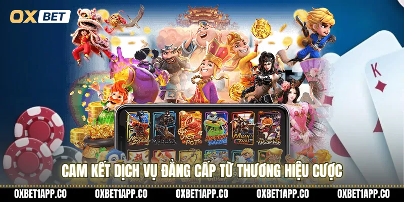 Cam kết dịch vụ đẳng cấp từ thương hiệu cược