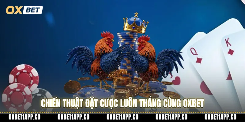 Chiến thuật đặt cược luôn thắng cùng OXBET