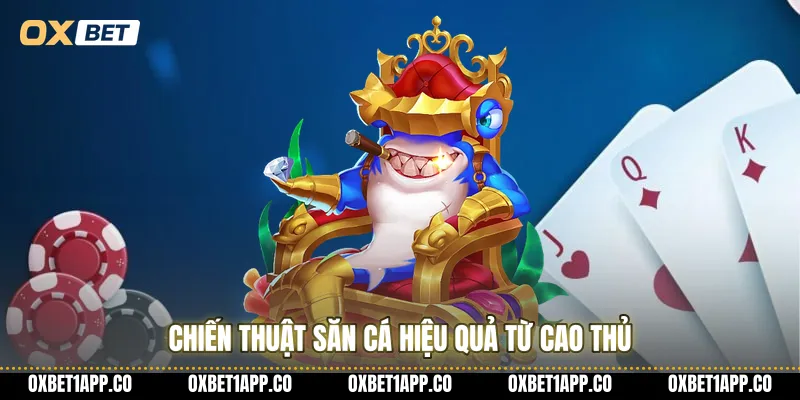 Chiến thuật săn cá hiệu quả từ cao thủ
