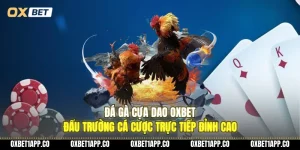 da ga cua dao oxbet dau truong ca cuoc truc tiep dinh cao 01