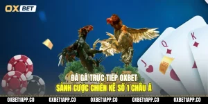da ga truc tiep oxbet sanh cuoc chien ke so 1 chau a 01