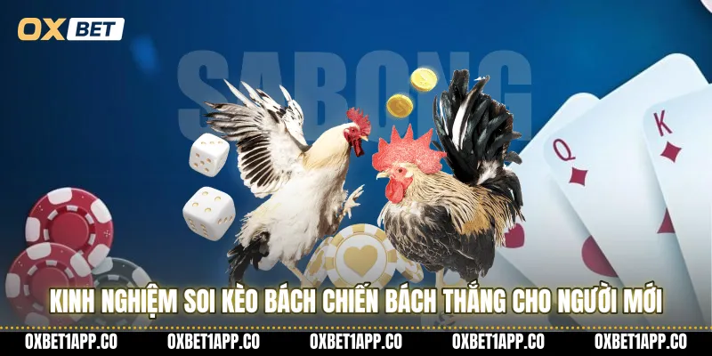 Kinh nghiệm soi kèo bách chiến bách thắng cho người mới