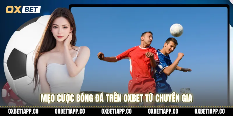 Mẹo cược bóng đá trên Oxbet từ chuyên gia