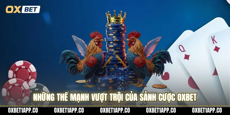 Những thế mạnh vượt trội của sảnh cược OXBET