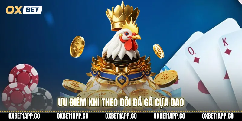 Ưu điểm khi theo dõi đá gà cựa dao