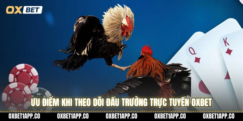 Ưu điểm khi theo dõi đấu trường trực tuyến OXBET