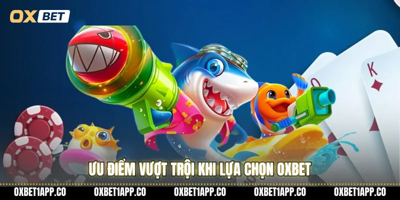 Ưu điểm vượt trội khi lựa chọn OXBET